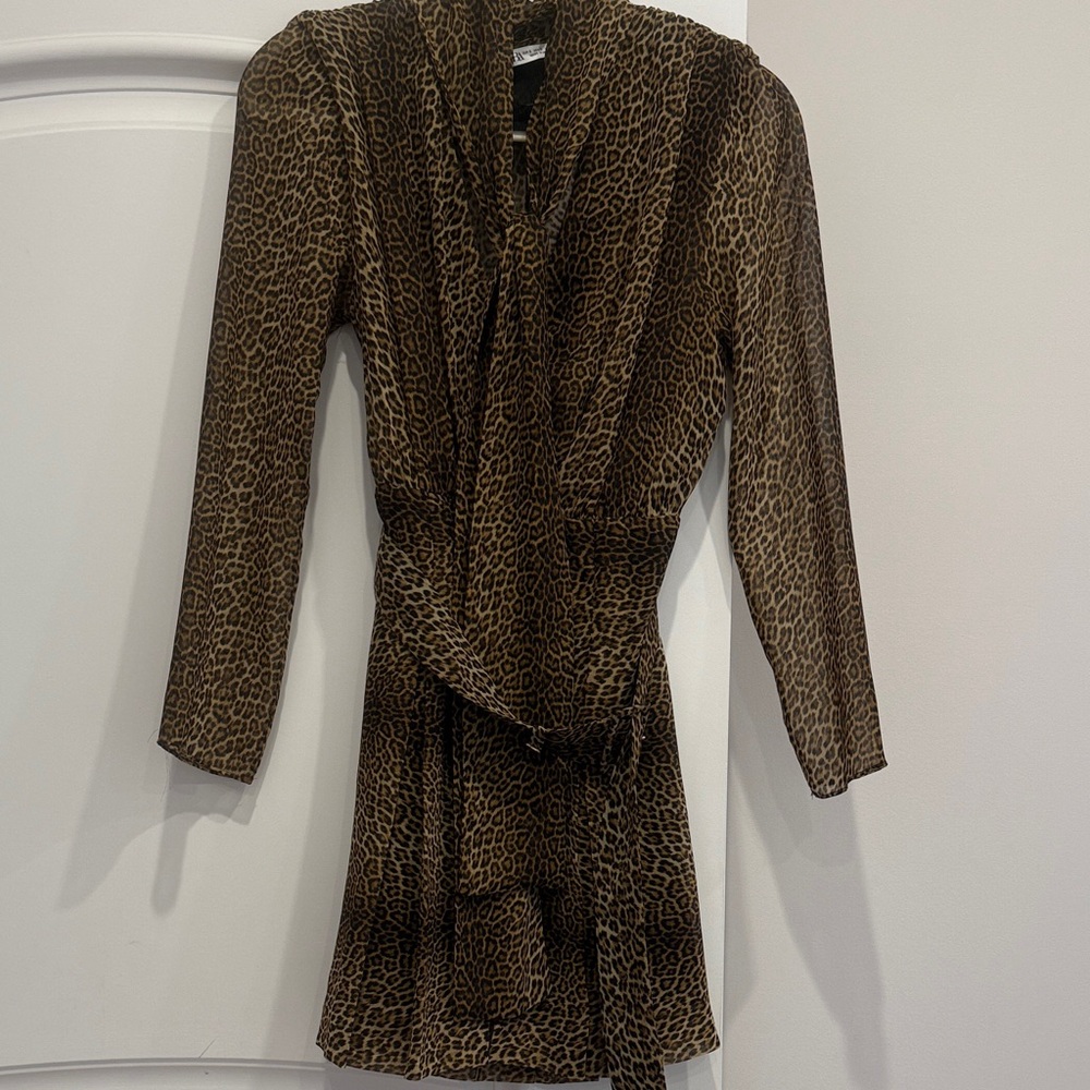 Zara Leopard Print Mini Dress